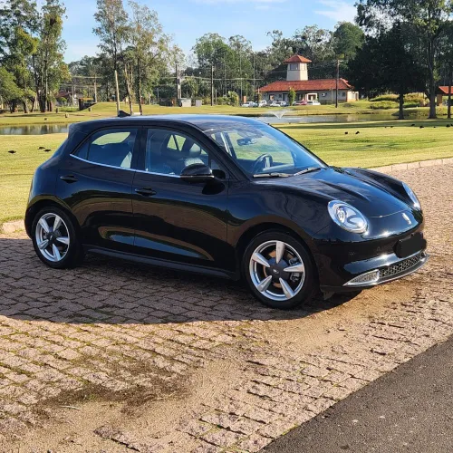 GWM Ora 03 Skin (elétrico) 2024