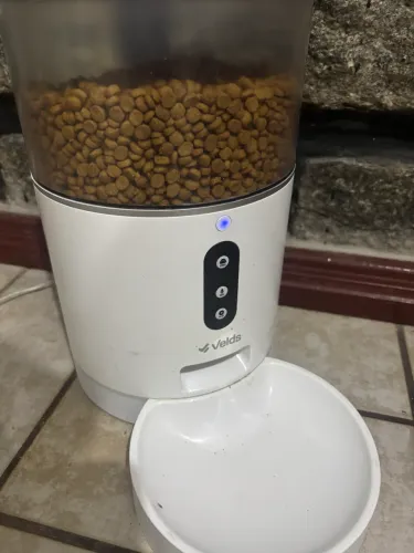 Alimentador automático para pets