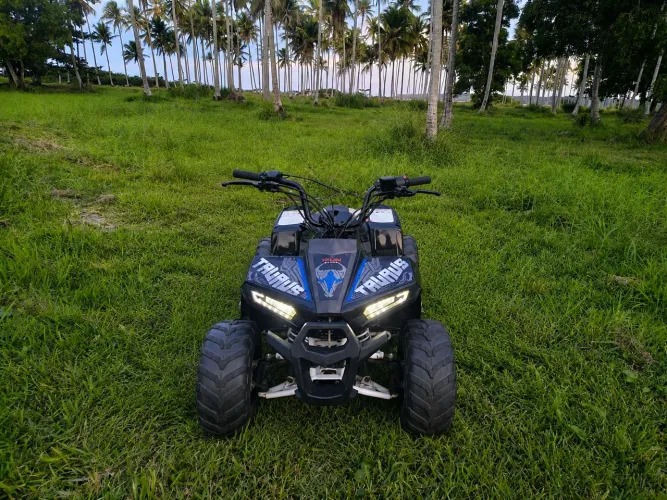 Quadriciclo Taurus 110cc automático