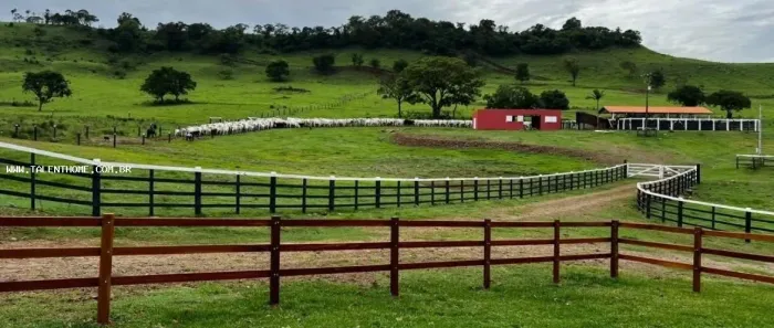 Área Rural para Venda em Uraí, RURAL