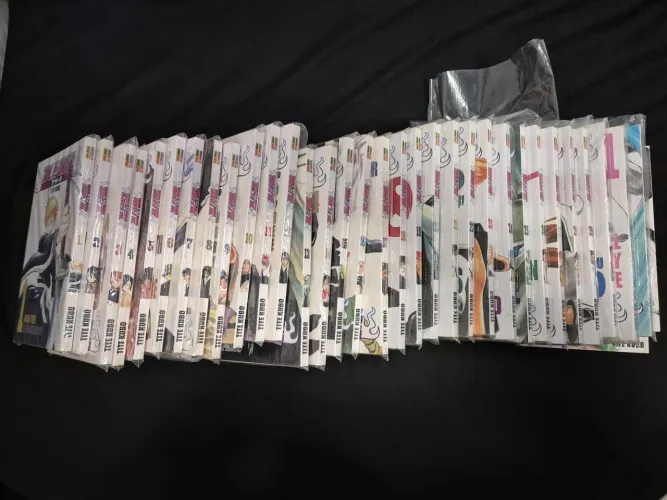 Mangás Bleach Volume 1 ao 34 bem conservados