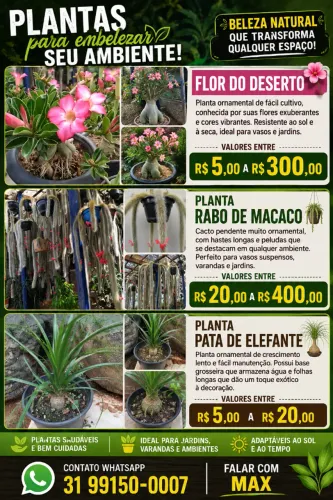 Planta For do Deserto