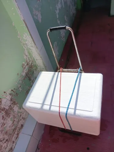 Carrinho de carta + Caixa de isopor 50L