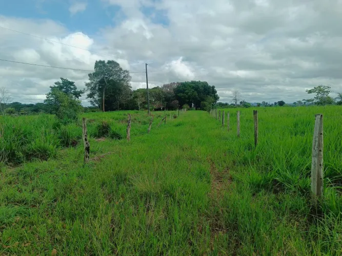 Vende se terra de 4.5 alqueire