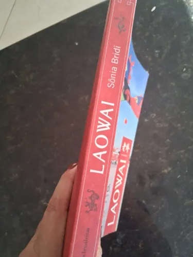 Livro Laowai: histórias de uma repórter brasileira na china por Sônia Bridi