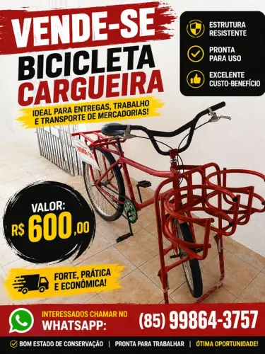 Bicicleta cargueira