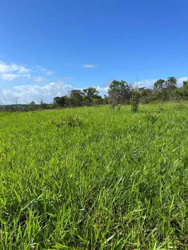 Sítio para Venda em Maceió, Zona Rural, 2 dormitórios, 1 banheiro
