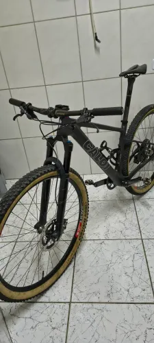 Caloi elite carbon tean 