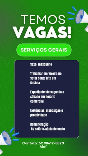 SERVIÇO GERAL ( masculino )