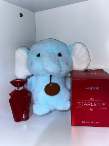 Kit Perfume da wepink + Ursinho