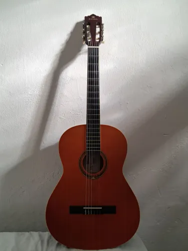 Violão Michael VM19e acústico 