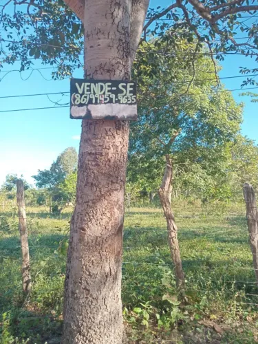 Terreno em altos a venda, 20mx40m, localidade tinguis