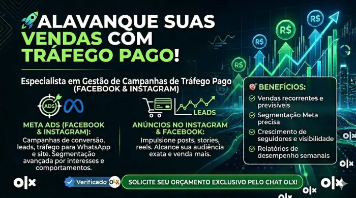 Gestor de Tráfego Pago - Alavanque suas Vendas (Insta e Face)