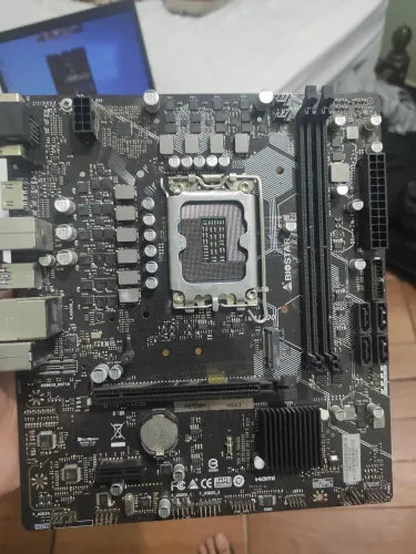 H610 pino torto