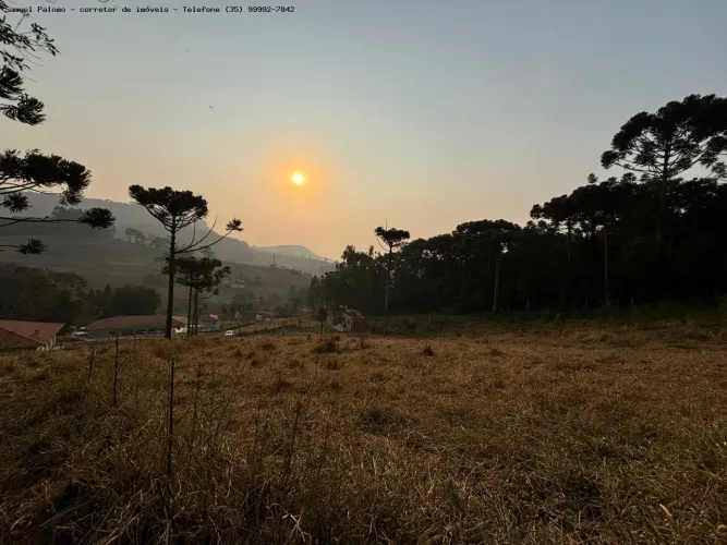 Terreno para Venda em Toledo