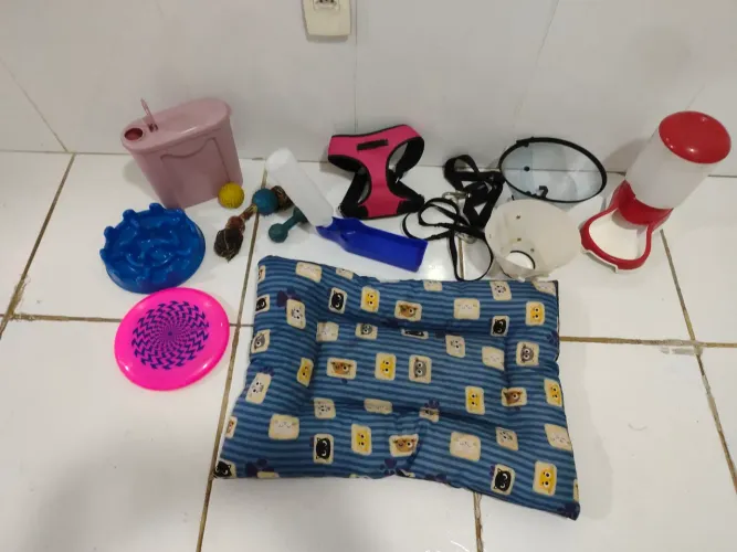 Casinha e acessórios pet