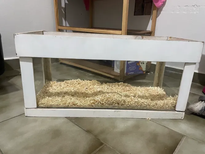 Terrário para pequenos roedores 