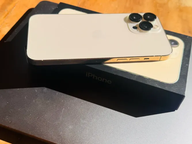 iPhone 13 Pro Max