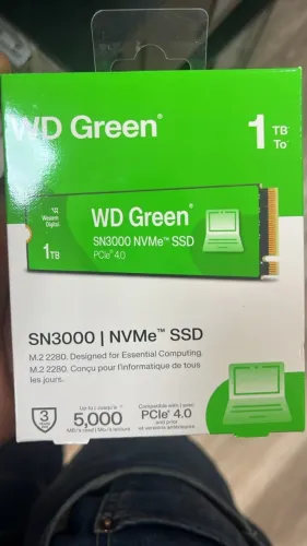 Ssd M.2 1tb Wd Green Sn3000 Pcie Gen 4 X4 Leitura 5000 Mb/s (CAIXA LACRADA)