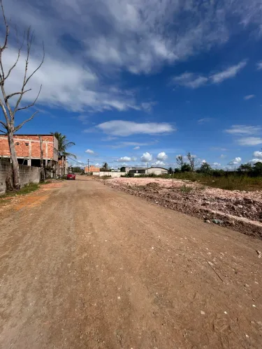 Lote barramares mangal