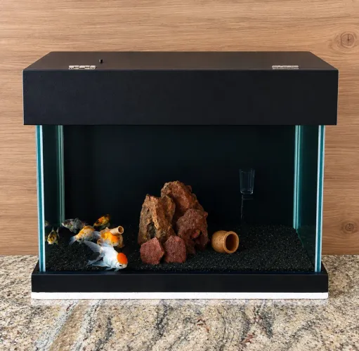 AQUÁRIO 60 LITROS COMPLETO- (LEIA DESCRIÇÃO EM ANÚNCIO)
