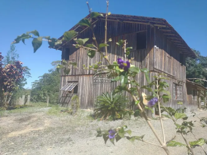 Sítio para Venda em São Pedro de Alcântara, BARRO BRANCO, 5 dormitórios, 2 banheiros, 2 va