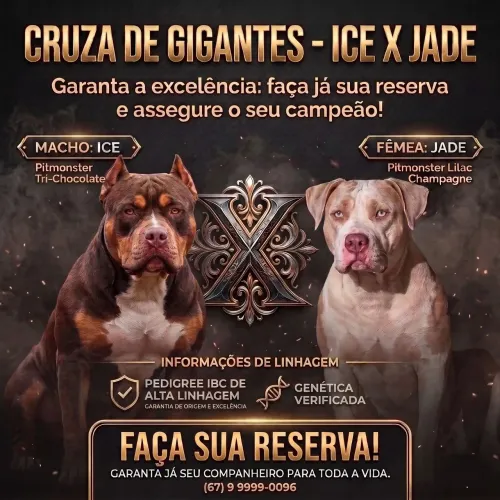 Filhotes de Pit Monster