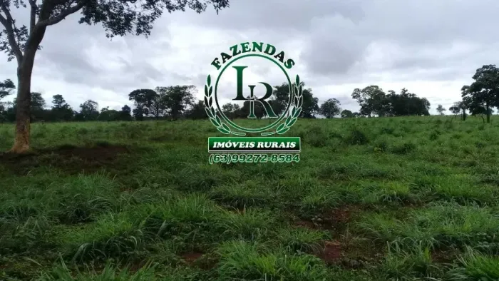 Fazenda 50 Alqueires Plana Próximo de Palmas