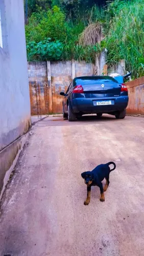 Casa em Santa Isabel Sp 