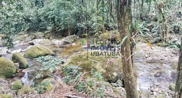 Um terreno no pé da serra de Ubatuba com kitnets e cacheira , piscina natural dentro do te