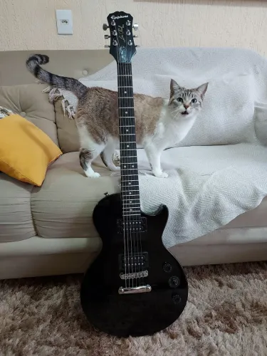 Guitarra Les Paul Epiphone Special ii ltd