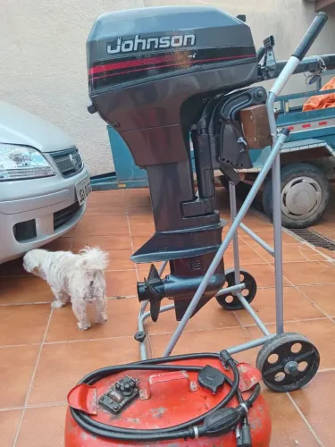 Vendo motor Jhonson 15 hp 