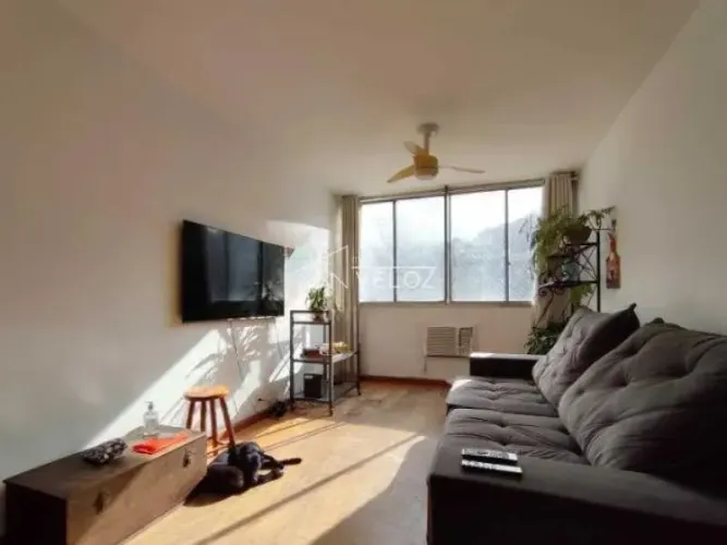 Apartamento : / Residencial / Laranjeiras