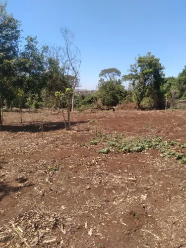 Sítio 200 mil um alqueire em Santa Cruz da esperança v