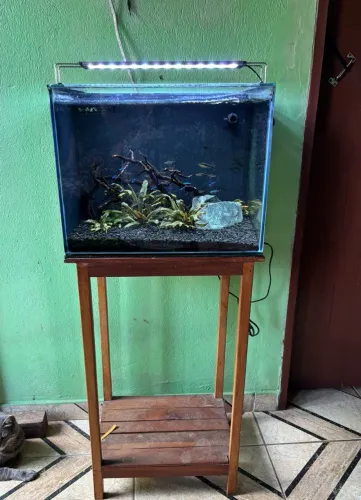 AQUÁRIO COMPLETO 50 LITROS + SUMP TRASEIRO