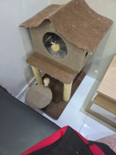 Casinha pet para gato