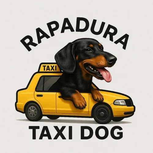 Rapadura Taxi dog / pet