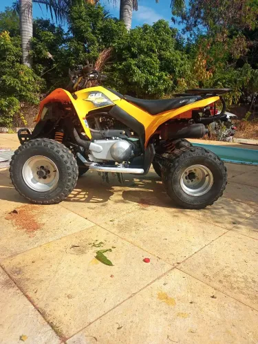 Quadriciclo Cam An DS 250