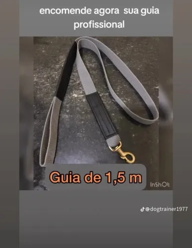 Guias para cães