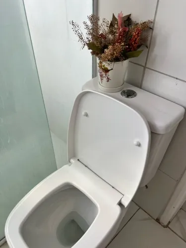 Vaso sanitário semi-novo da celite