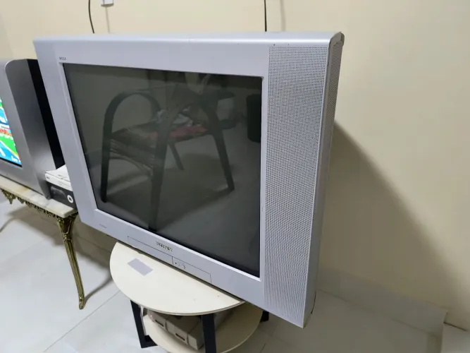 TV Sony wega 29 polegadas!