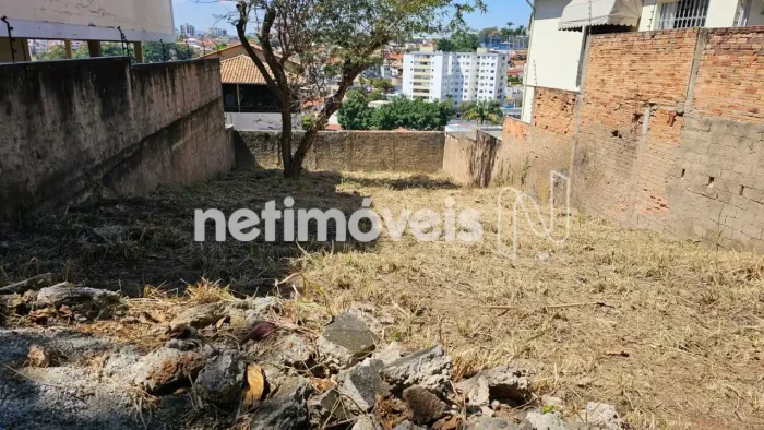Venda Lote-Área-Terreno Santa Amélia Belo Horizonte