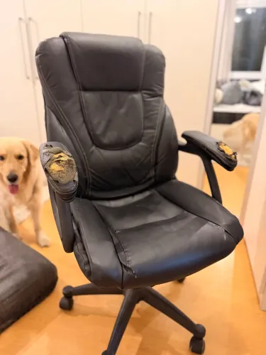 Vendo cadeira giratória para computador de couro