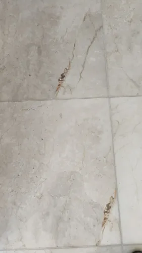 Porcelanato polido ret.51x51 botticino clássico 3m2