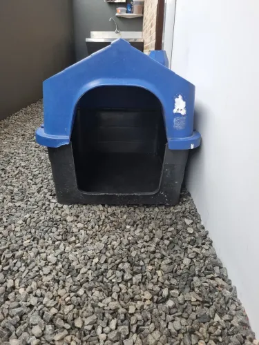 Casinha Cachorro
