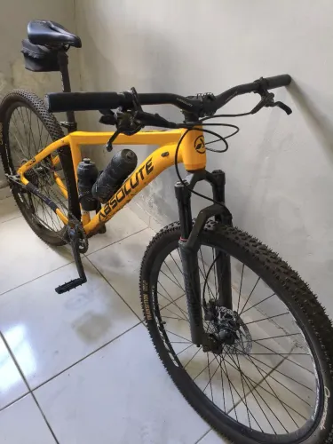 Mountain bike aro 29