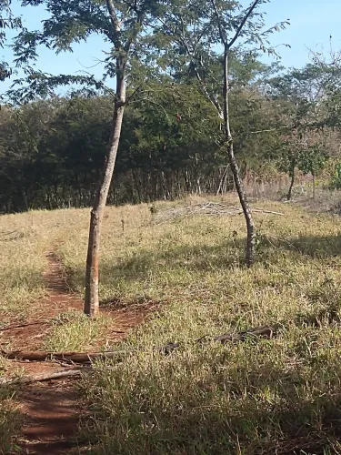 Terreno