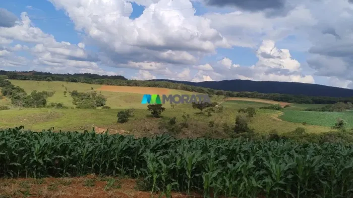 FAZENDA À VENDA - 133 HECTARES - BOM SUCESSO (MG)