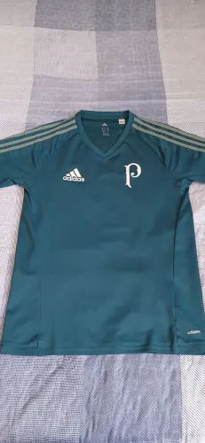 Camisa de treino Palmeiras
