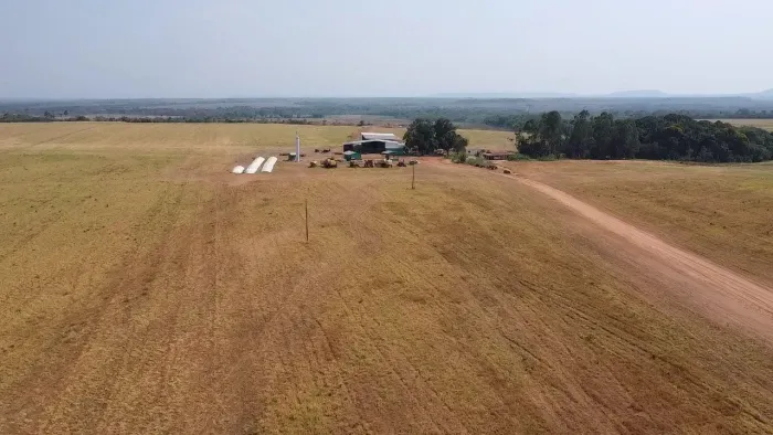 Fazenda a venda no Tocantins - Pega 90% em Trama!